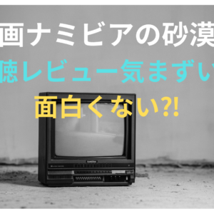 映画「ナミビアの砂漠」視聴した感想・気まずい？面白くないって本当⁈